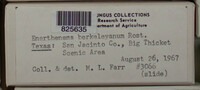 Image Associated With the Occurence